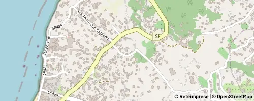 Mappa 포리오