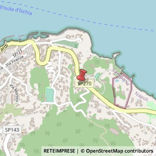 Mappa Via Castiglione, 36, 80074 Casamicciola Terme, Napoli (Campania)