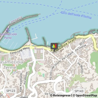 Scuole e Corsi per Corrispondenza e Teledidattica,80074Napoli