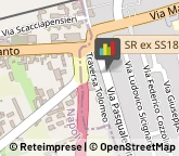 Commercialisti,84018Salerno