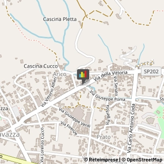 Autolinee,13900Biella