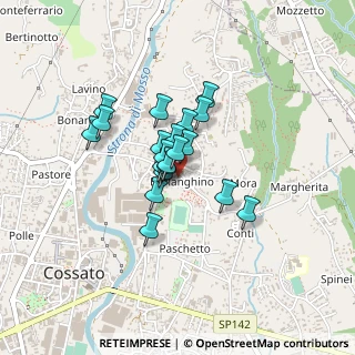 Mappa Borgata Berlanghino, 13836 Cossato BI, Italia (0.271)