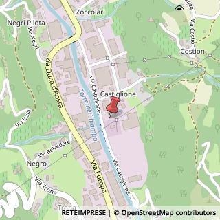 Mappa Via Castiglione, 32, 36072 Chiampo, Vicenza (Veneto)