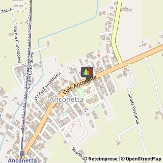 Scuole Pubbliche,36100Vicenza