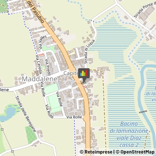 Paste Alimentari - Dettaglio Vicenza,36100Vicenza