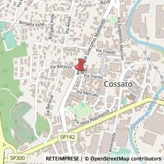 Mappa Via Trento, 22, 13836 Cossato, Biella (Piemonte)