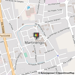 Otorinolaringoiatria - Medici Specialisti Martinengo,24057Bergamo