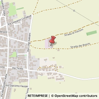 Mappa Via De Medici, 101, 28043 Bellinzago Novarese, Novara (Piemonte)