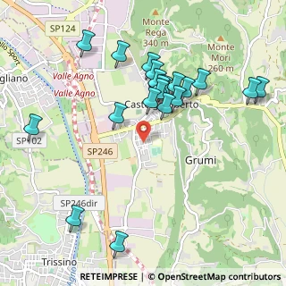 Mappa Via Europa, 36070 Castelgomberto VI, Italia (1.0135)