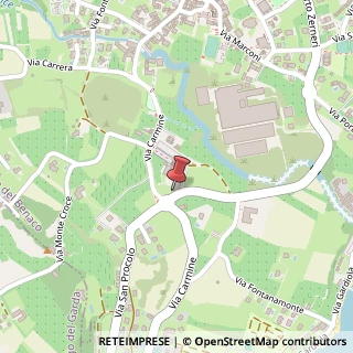 Mappa Via San Procolo, 79, 25010 San Felice del Benaco, Brescia (Lombardia)