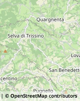 Assicurazioni Trissino,36071Vicenza