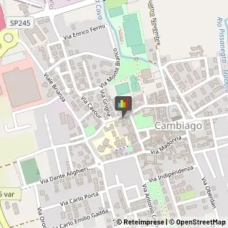 Locali, Birrerie e Pub Cambiago,20040Milano