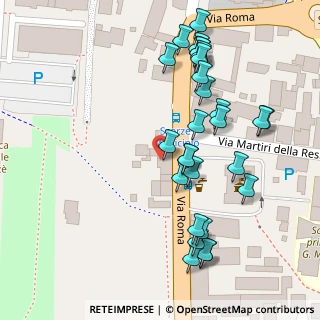Mappa Via Roma, 30037 Scorzè VE, Italia (0.06643)