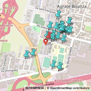 Mappa Via San Domenico Savio, 20864 Agrate Brianza MB, Italia (0.21111)