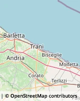 Spezie Trani,76125Barletta-Andria-Trani