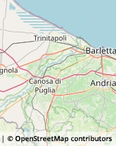 Uffici Temporanei Cerignola,71042Foggia