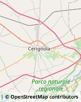 Ristoranti Cerignola,71042Foggia