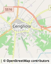 Ristoranti Cerignola,71042Foggia