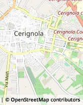 Ristoranti Cerignola,71042Foggia