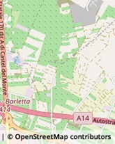 Articoli per Ortopedia Barletta,76121Barletta-Andria-Trani