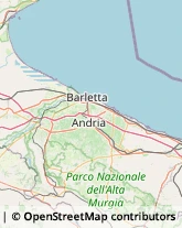 Articoli per Ortopedia San Ferdinando di Puglia,76017Barletta-Andria-Trani