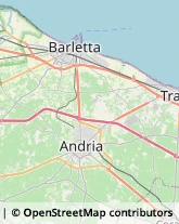 Articoli per Ortopedia Andria,70124Barletta-Andria-Trani