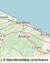 Articoli per Ortopedia Andria,70031Barletta-Andria-Trani