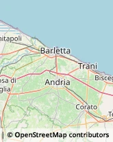 Ottica, Occhiali e Lenti a Contatto - Dettaglio Andria,76123Barletta-Andria-Trani