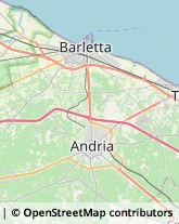 Ottica, Occhiali e Lenti a Contatto - Dettaglio Andria,76123Barletta-Andria-Trani