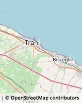 Abbigliamento Bambini e Ragazzi Trani,76125Barletta-Andria-Trani