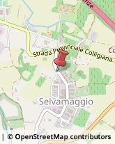 Strada di Selvamaggio, 16,53034Colle di Val d'Elsa