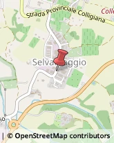 Str. di Selvamaggio, 82,53034Colle di Val d'Elsa