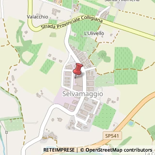 Mappa Località San Marziale, 48, 53034 Poggibonsi, Siena (Toscana)