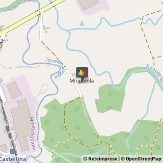 Aziende Agricole Castellina in Chianti,53011Siena