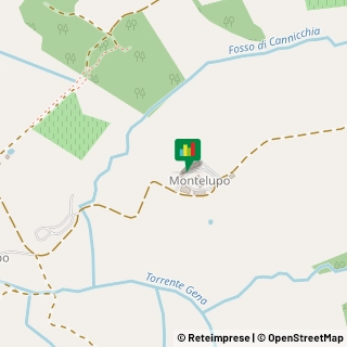 Mappa Localita' Montelupo, 126, 53011 Castellina in Chianti, Siena (Toscana)