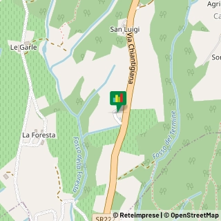 Mappa Localita' Pomona, 39, 53011 Castellina in Chianti, Siena (Toscana)