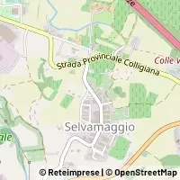 Map Colle di Val d'Elsa