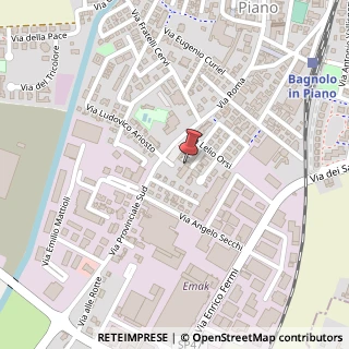 Mappa Via g. borri 2/m, 42011 Bagnolo in Piano, Reggio nell'Emilia (Emilia Romagna)