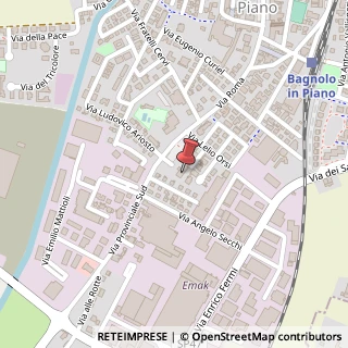Mappa Via Borri, 2, 42011 Bagnolo in Piano, Reggio nell'Emilia (Emilia Romagna)