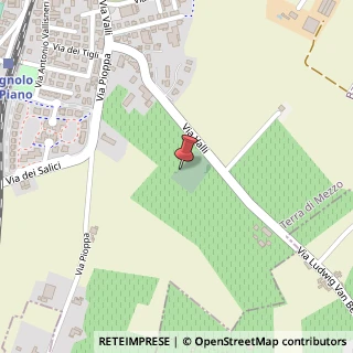 Mappa Via Valli, 32, 42011 Bagnolo in Piano, Reggio nell'Emilia (Emilia Romagna)