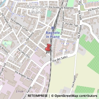 Mappa Via G. Matteotti, 17, 42011 Bagnolo in Piano, Reggio nell'Emilia (Emilia Romagna)