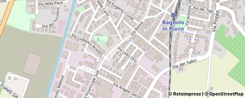 Mappa Bagnolo in Piano