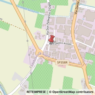 Mappa Via Ludovico Ariosto, 17, 42023 Cadelbosco di Sopra, Reggio nell'Emilia (Emilia Romagna)