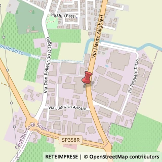 Mappa Via Dante Alighieri, 58, 42023 Cadelbosco di Sopra, Reggio nell'Emilia (Emilia Romagna)