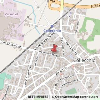 Mappa Via vittorio veneto - collecchio 12/a, 43044 Collecchio, Parma (Emilia Romagna)