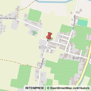 Mappa Via Budrio, 46, 42015 Budrio RE, Italia, 42015 Correggio, Reggio nell'Emilia (Emilia Romagna)
