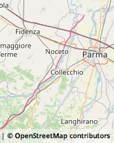 Articoli da Regalo - Dettaglio Collecchio,43044Parma