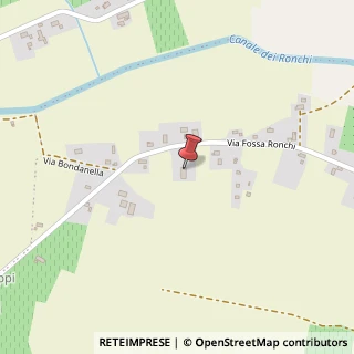 Mappa Via Fossa Ronchi, 13, 42015 Correggio, Reggio nell'Emilia (Emilia Romagna)