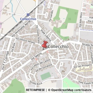 Mappa Via Spezia, 39, 43044 Collecchio, Parma (Emilia Romagna)
