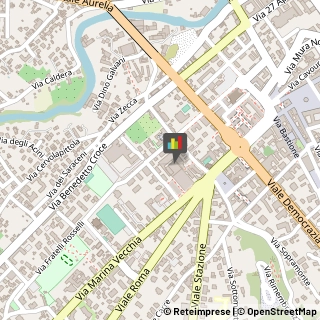 Consulenze Speciali Massa,54100Massa-Carrara